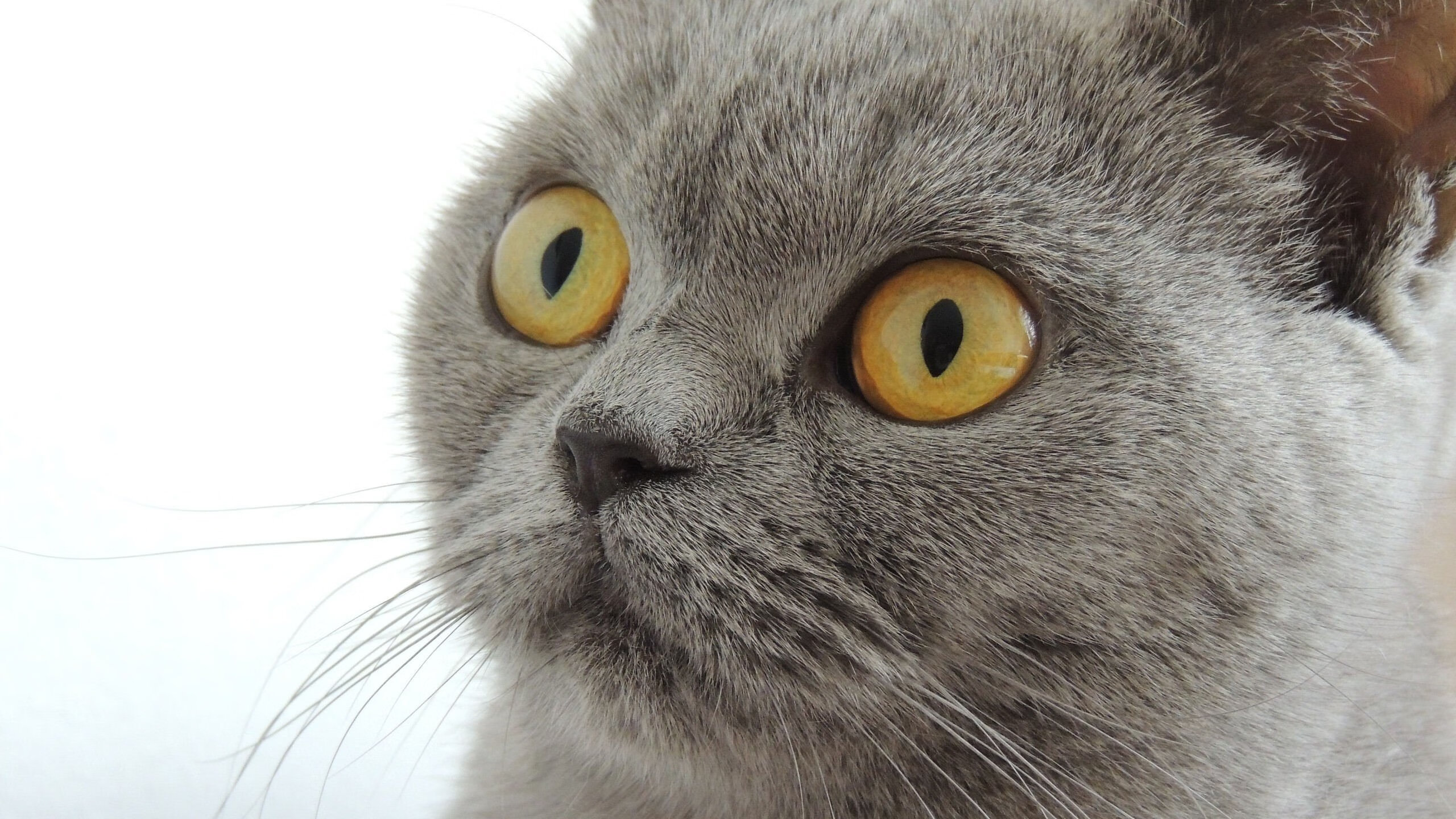 “青春无敌”全国青少年篮球文化节在杭州激情开幕,搭建交流平台