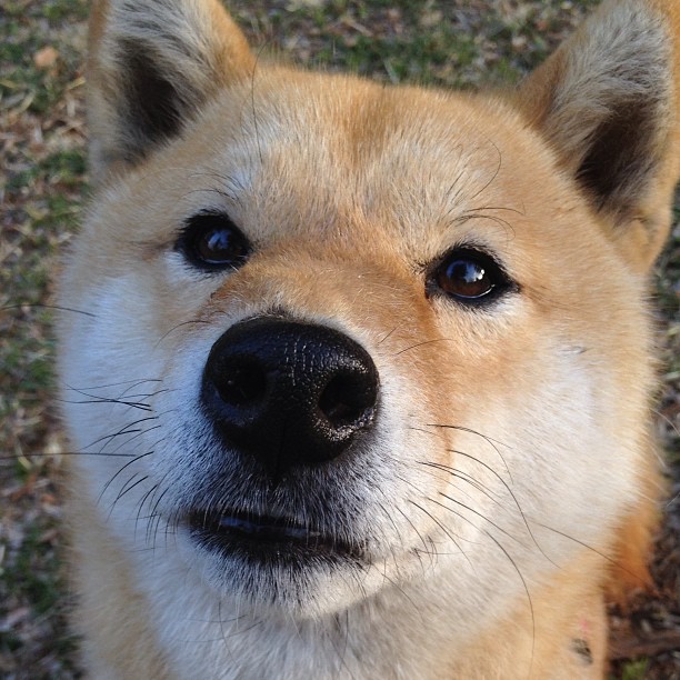 《全球电竞联赛布局:区域赛逐步扩大影响力》,电竞全球总结赛