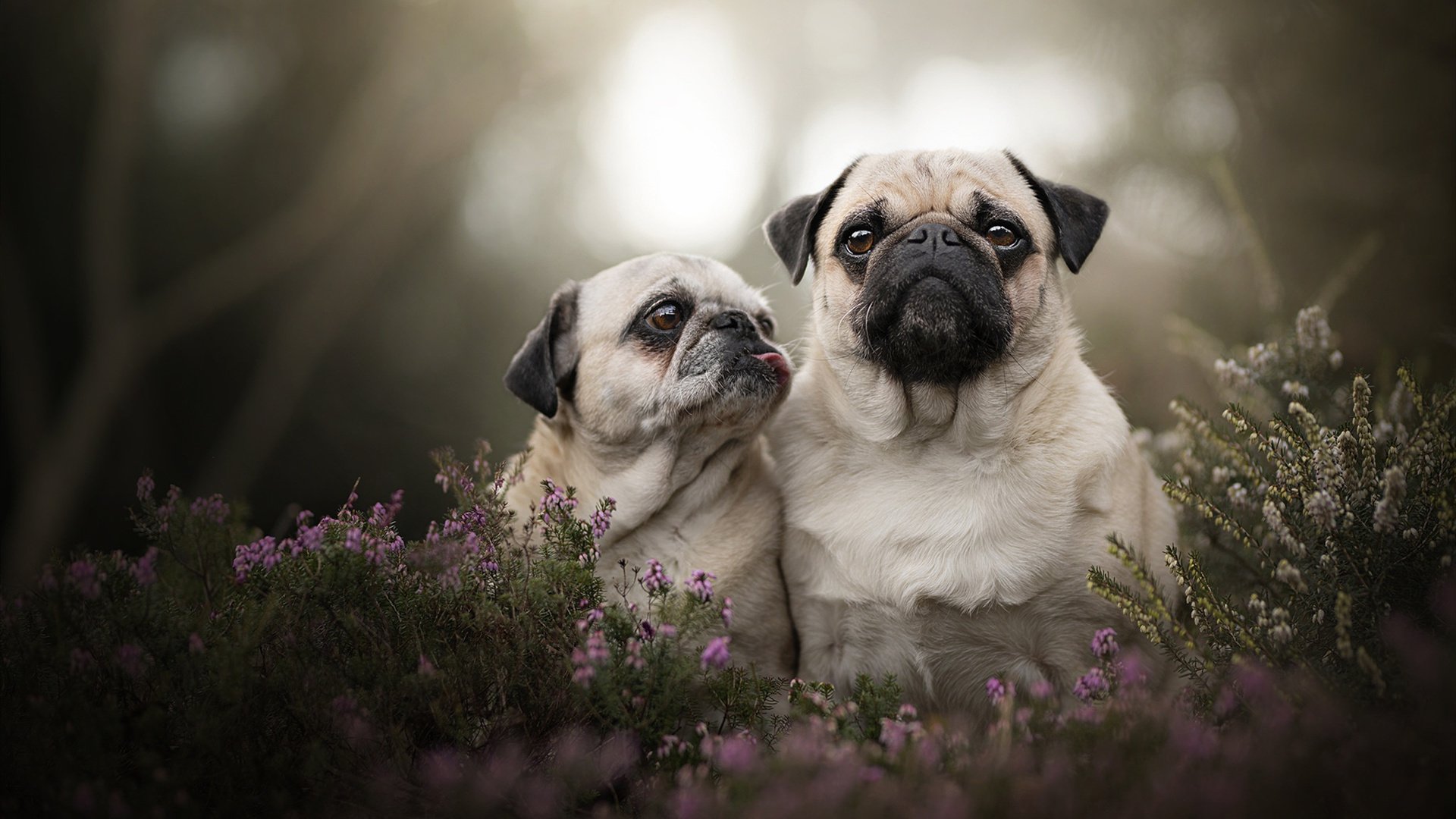 史上最年轻“冠军射手”的崛起之路,最年轻的射箭冠军