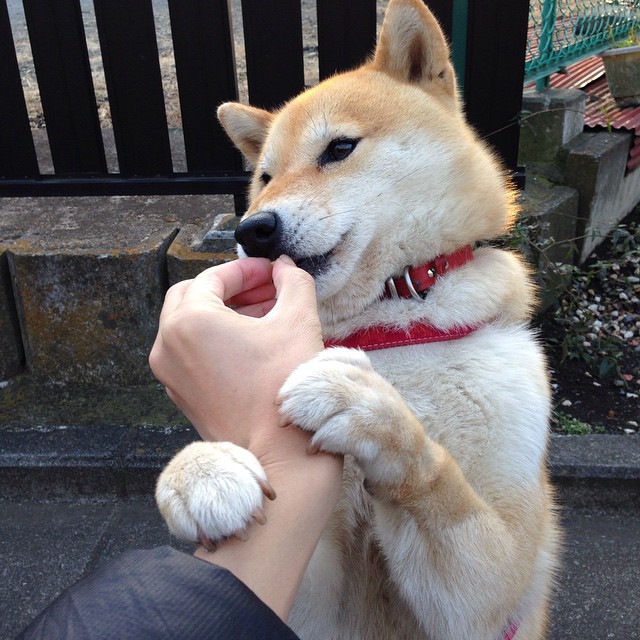 排名变化:本轮大洗牌,谁被超越?