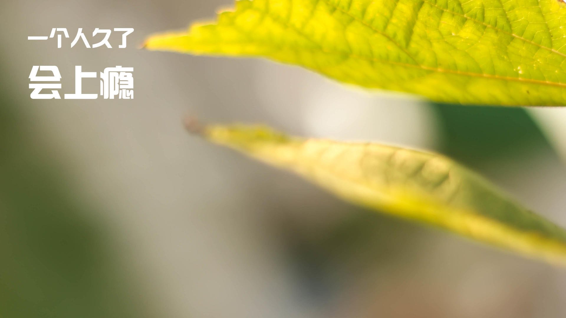 数据狂潮:命中率47%,助攻20+,团队表现亮眼!,数据飙升