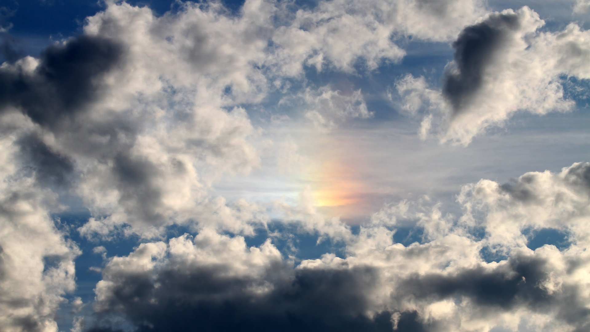 未来之星:新一代欧冠球员的崛起,未来之星足球队