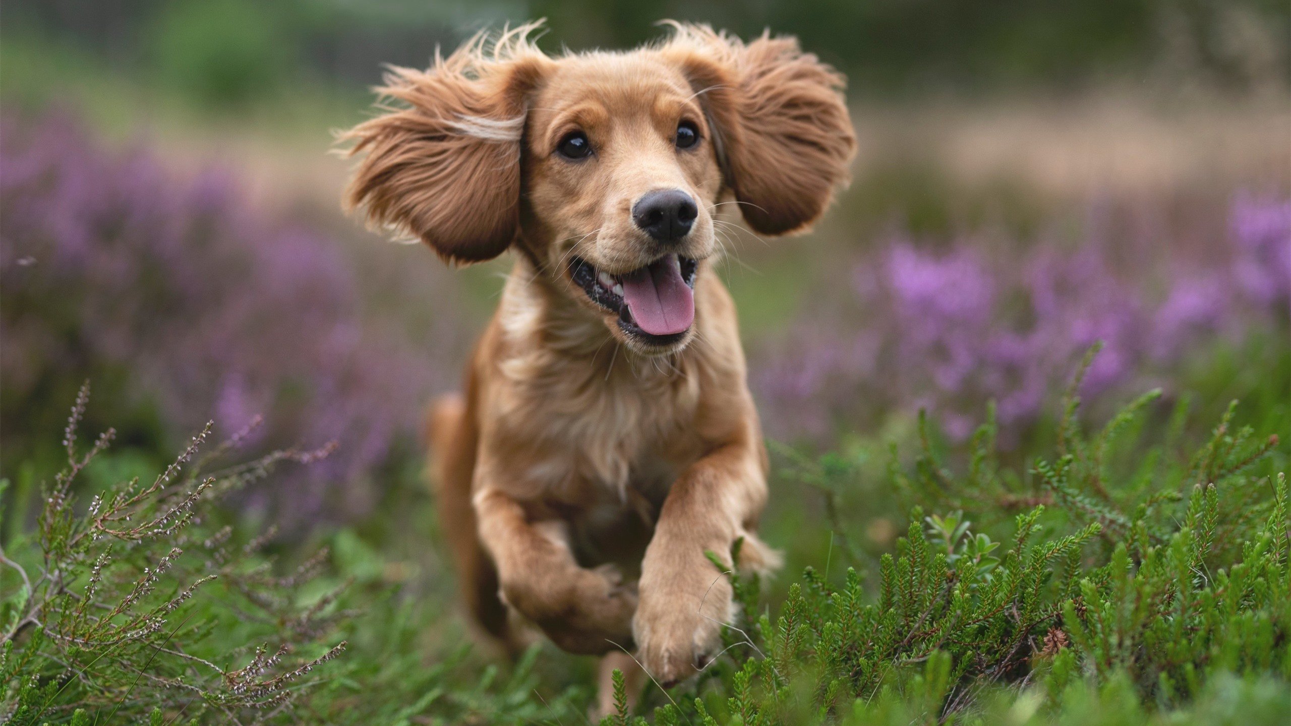 特色篮球赛事成为地区文化旅游的重要组成部分,篮球特色活动方案