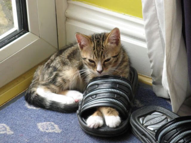 逆风翻盘:欧冠中最震撼的逆转胜利汇总,欧冠经典逆转比赛