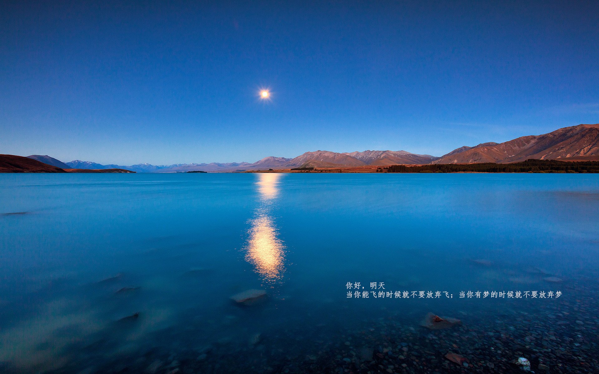 九游网游官网-青训成果逐步显现，少年足球队在国内外比赛中频频获奖，足球青少年赛事