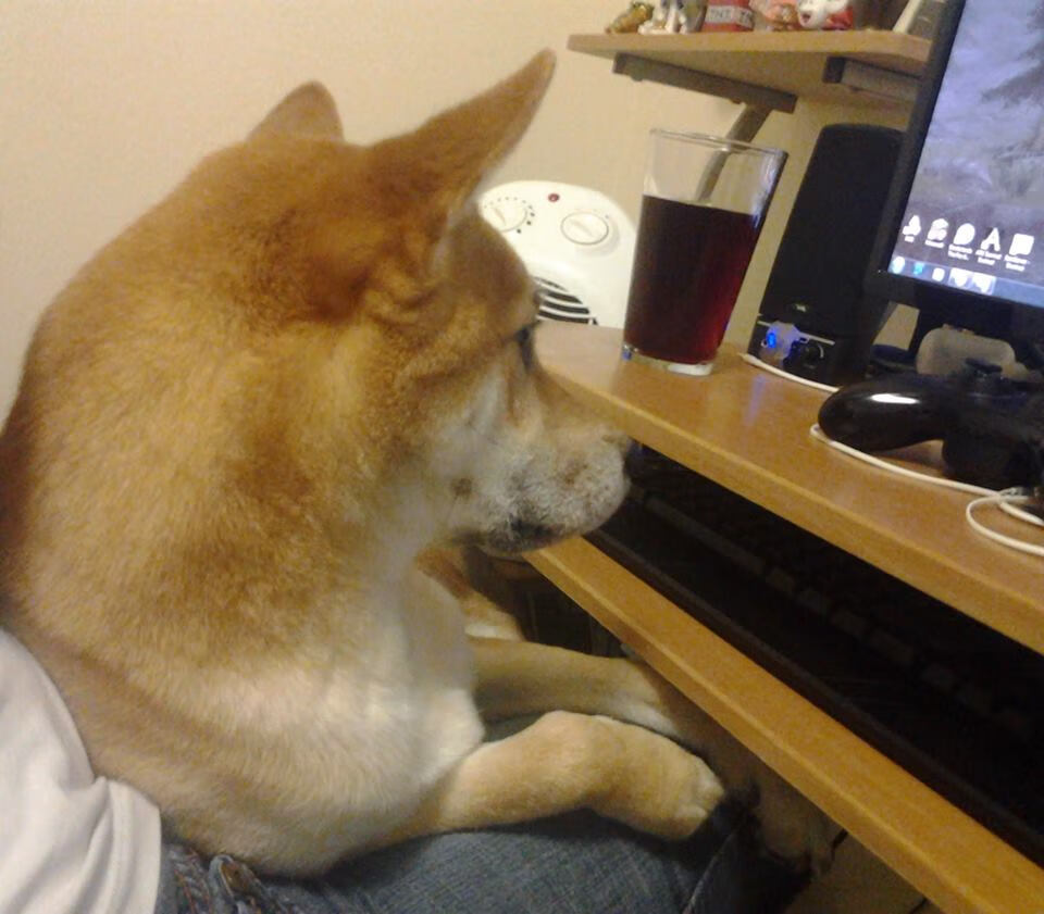 青少年足球纳入国家教育体系,全面普及校园足球,全国青少年校园足球改革