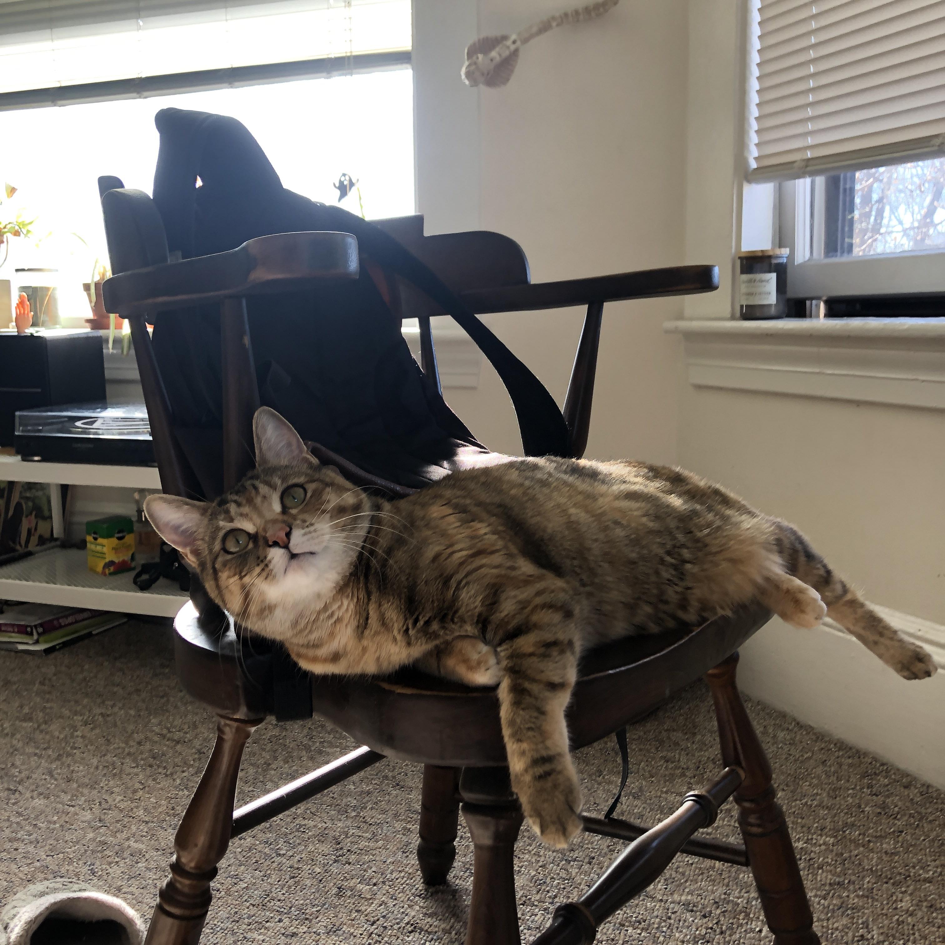 马赛新援爆发,成球队新领袖,马赛主场球迷