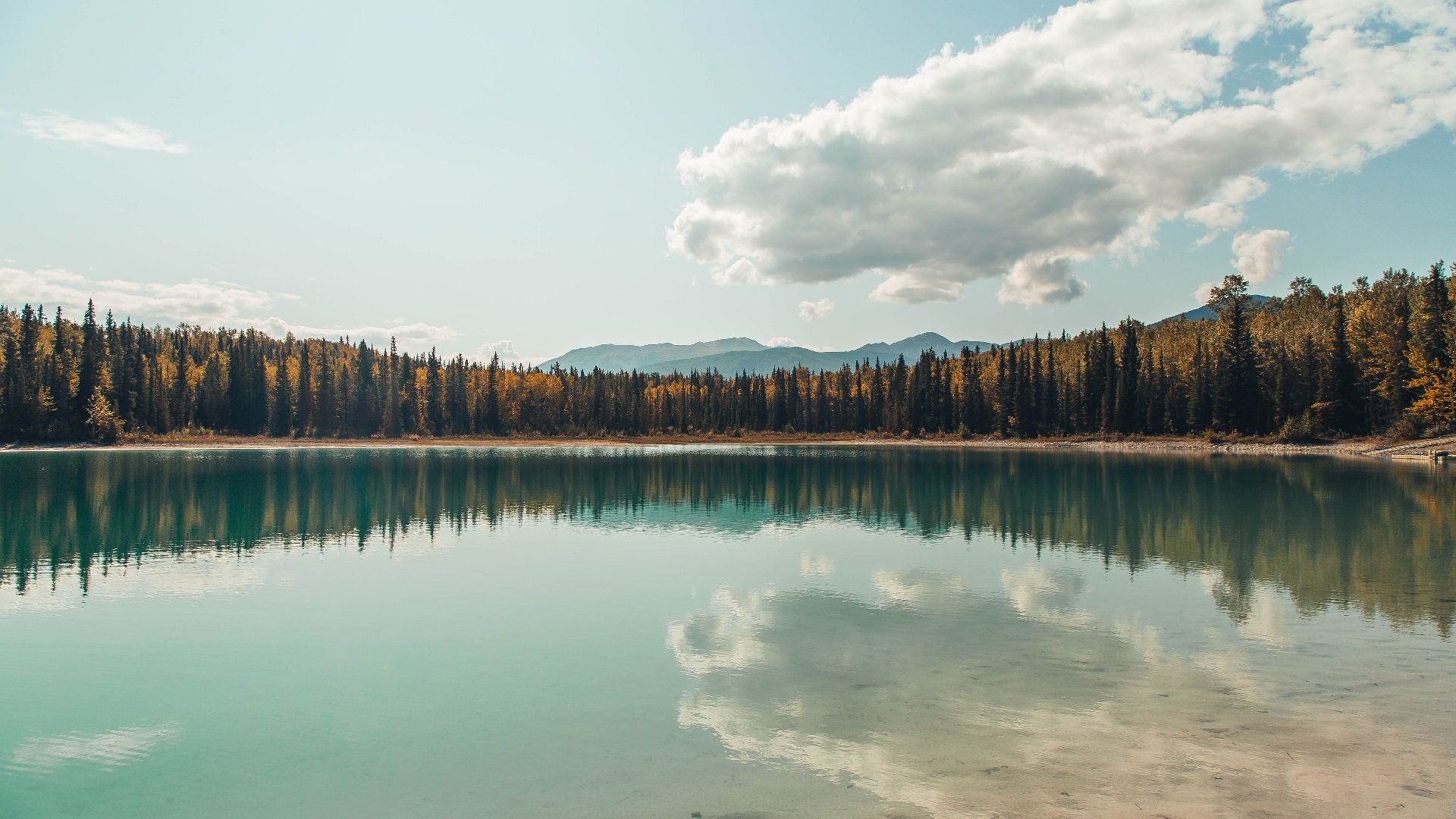 Gen.G新人晋升主力阵容