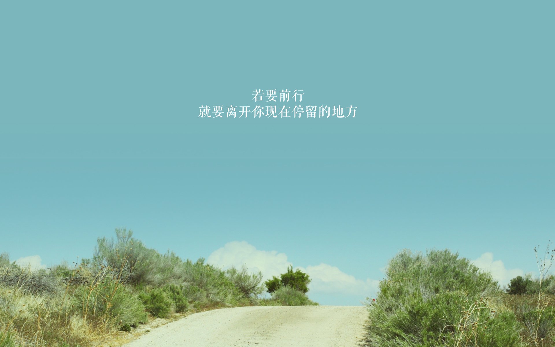 T1赛区粉丝支持力度加大,t1选手名单