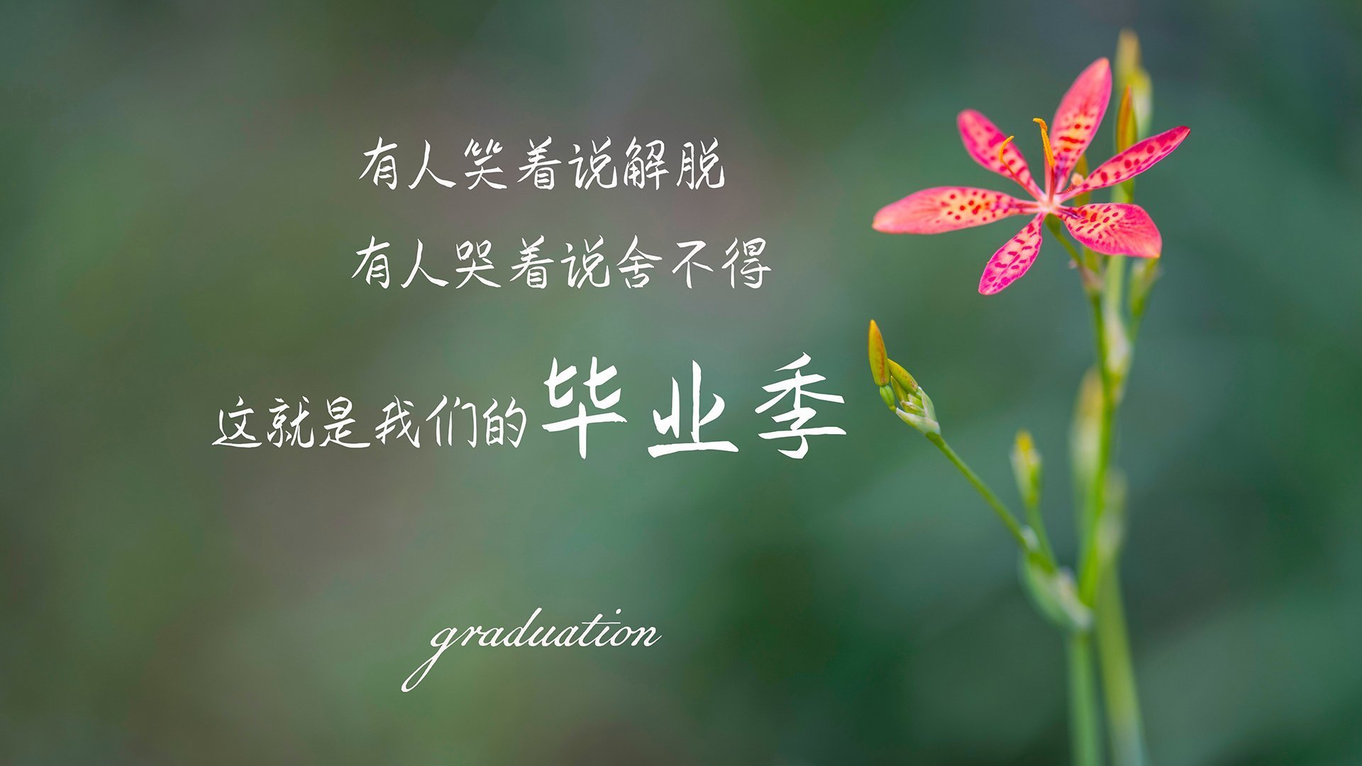 中国篮球联赛观众体验提升策略,篮球比赛观众体验和参与的重要性