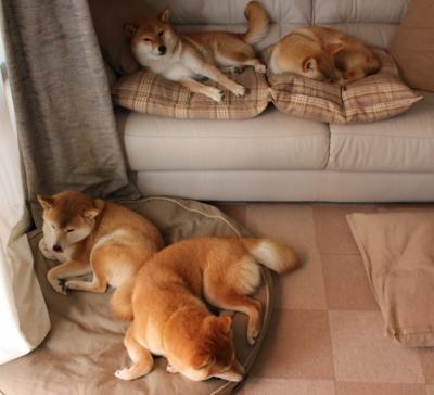 博卡青年年轻球员表现突出,博卡青年培养出的球星